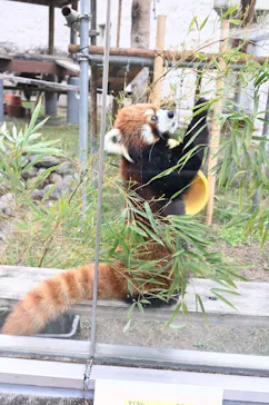 天王寺動物園に投稿された画像（2024/2/22）