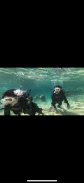武藤潜水に投稿された画像（2024/2/22）