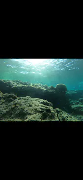 武藤潜水に投稿された画像（2024/2/22）