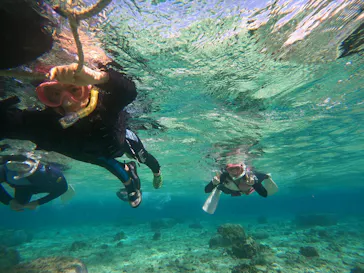 武藤潜水に投稿された画像（2024/2/22）