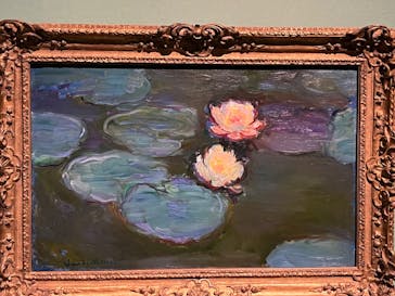 モネ　連作の情景に投稿された画像（2024/2/22）