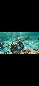 武藤潜水に投稿された画像（2024/2/22）