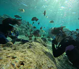 沖縄マリンサービス碧に投稿された画像（2024/2/22）