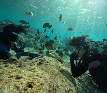 沖縄マリンサービス碧に投稿された画像（2024/2/22）