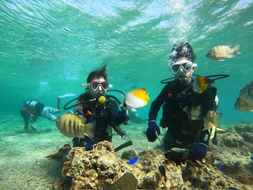 沖縄マリンサービス碧に投稿された画像（2024/2/22）