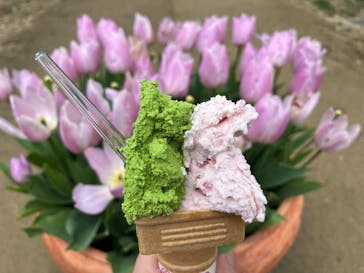 松阪農業公園ベルファームに投稿された画像（2024/2/22）