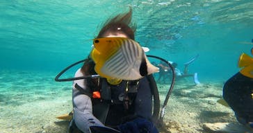 沖縄マリンサービス碧に投稿された画像（2024/2/22）