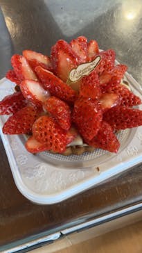 松阪農業公園ベルファームに投稿された画像（2024/2/22）