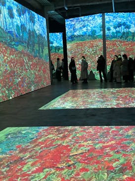 ゴッホ・アライブに投稿された画像（2024/2/22）