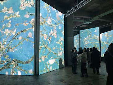 ゴッホ・アライブに投稿された画像（2024/2/22）