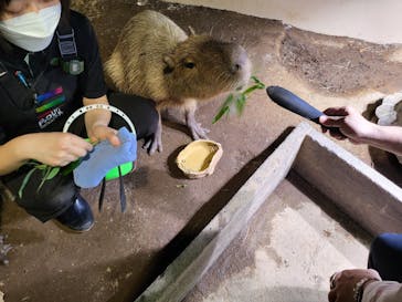 マクセル アクアパーク品川に投稿された画像（2024/2/22）