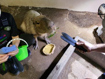 マクセル アクアパーク品川に投稿された画像（2024/2/22）