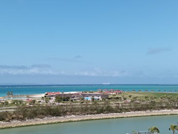 DMMかりゆし水族館に投稿された画像（2024/2/22）