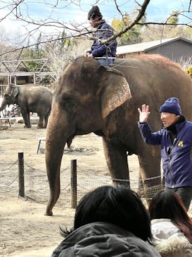 ANIMAL WONDER REZOURT 市原ぞうの国・サユリワールドに投稿された画像（2024/2/22）