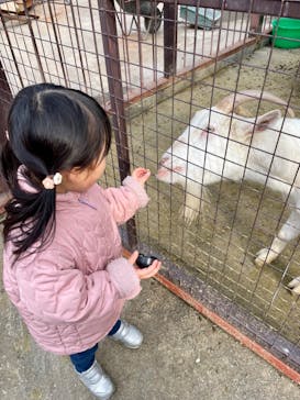 ANIMAL WONDER REZOURT 市原ぞうの国・サユリワールドに投稿された画像（2024/2/22）