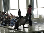 アクアワールド茨城県大洗水族館に投稿された画像（2024/2/22）
