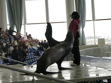 アクアワールド茨城県大洗水族館に投稿された画像（2024/2/22）