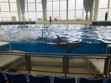 アクアワールド茨城県大洗水族館に投稿された画像（2024/2/22）