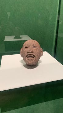 特別展「古代メキシコ ーマヤ、アステカ、テオティワカン」に投稿された画像（2024/2/22）