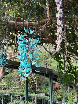 おきなわワールドに投稿された画像（2024/2/22）