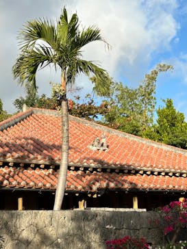 おきなわワールドに投稿された画像（2024/2/22）