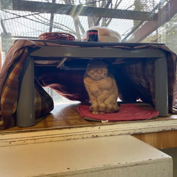 那須どうぶつ王国に投稿された画像（2024/2/22）