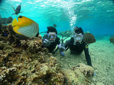 武藤潜水に投稿された画像（2024/2/23）