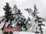 阿仁スキー場に投稿された画像（2024/2/23）