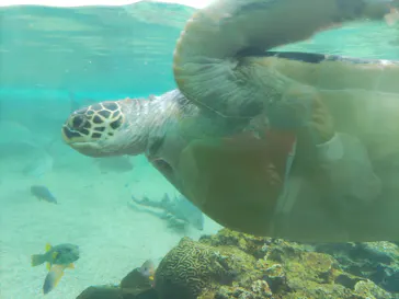 横浜・八景島シーパラダイスに投稿された画像（2024/2/23）