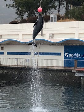 伊豆・三津シーパラダイスに投稿された画像（2024/2/23）
