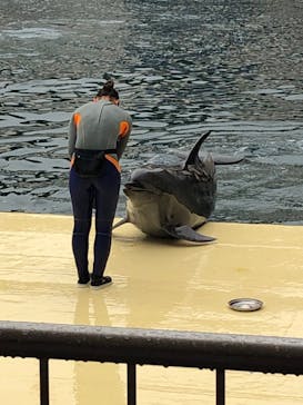 伊豆・三津シーパラダイスに投稿された画像（2024/2/23）