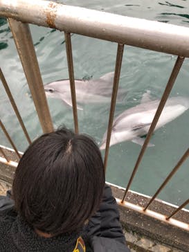 伊豆・三津シーパラダイスに投稿された画像（2024/2/23）