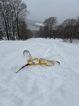 秋田八幡平スキー場に投稿された画像（2024/2/23）