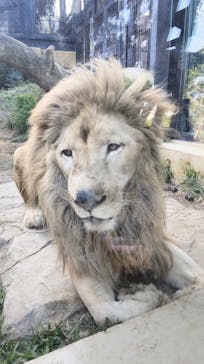 沖縄こどもの国に投稿された画像（2024/2/23）