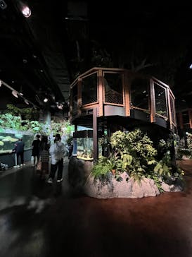 DMMかりゆし水族館に投稿された画像（2024/2/23）