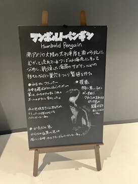 DMMかりゆし水族館に投稿された画像（2024/2/23）