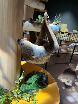 DMMかりゆし水族館に投稿された画像（2024/2/23）