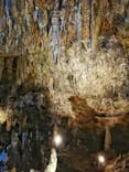 石垣島鍾乳洞に投稿された画像（2024/2/23）