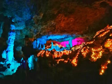 石垣島鍾乳洞に投稿された画像（2024/2/23）