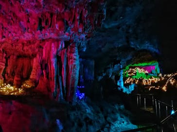石垣島鍾乳洞に投稿された画像（2024/2/23）