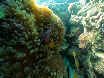 武藤潜水に投稿された画像（2024/2/23）