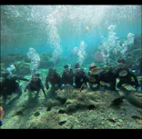 武藤潜水に投稿された画像（2024/2/23）