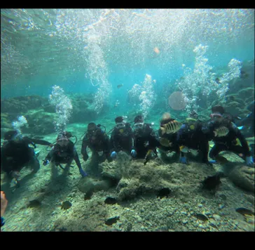 武藤潜水に投稿された画像（2024/2/23）