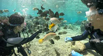 武藤潜水に投稿された画像（2024/2/23）