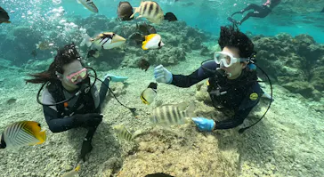 武藤潜水に投稿された画像（2024/2/23）