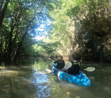 石垣島 ADVENTURE PiPi（イシガキジマアドベンチャーピピ）に投稿された画像（2024/2/23）