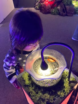 NARA KINGYO MUSEUMに投稿された画像（2024/2/23）