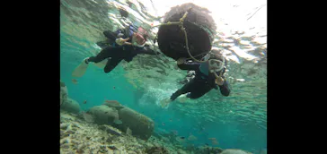 武藤潜水に投稿された画像（2024/2/23）