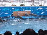 仙台うみの杜水族館に投稿された画像（2024/2/23）