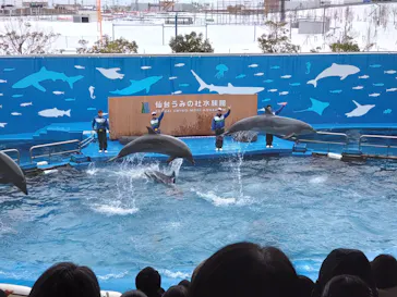 仙台うみの杜水族館に投稿された画像（2024/2/23）